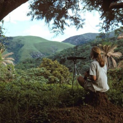 Discovering γουακαμε