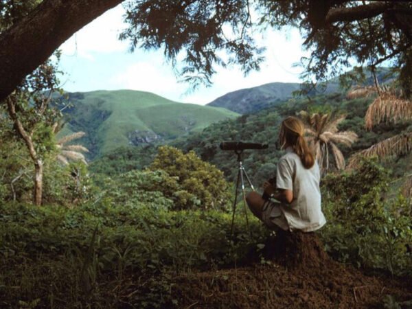 Discovering γουακαμε